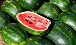 网红吃瓜资料免费,揭秘娱乐圈幕后真相